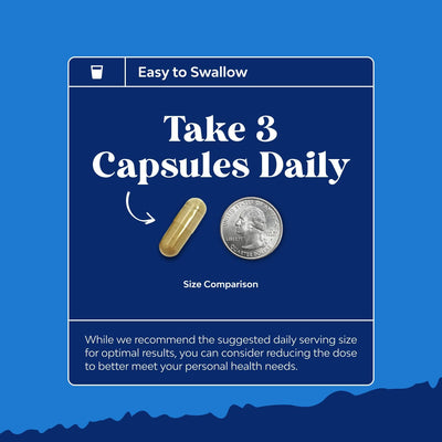 Herbal Prostate Supplement for Men | Pygeum & Saw Palmetto Extract for Urinary Health