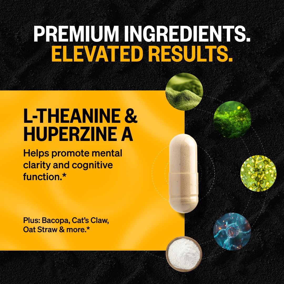 ONNIT Alpha Brain Nootropic Supplement – Memory, Focus & Mental Clarity with L-Theanine & Vitamin B6, Non-GMO, 30 Capsules