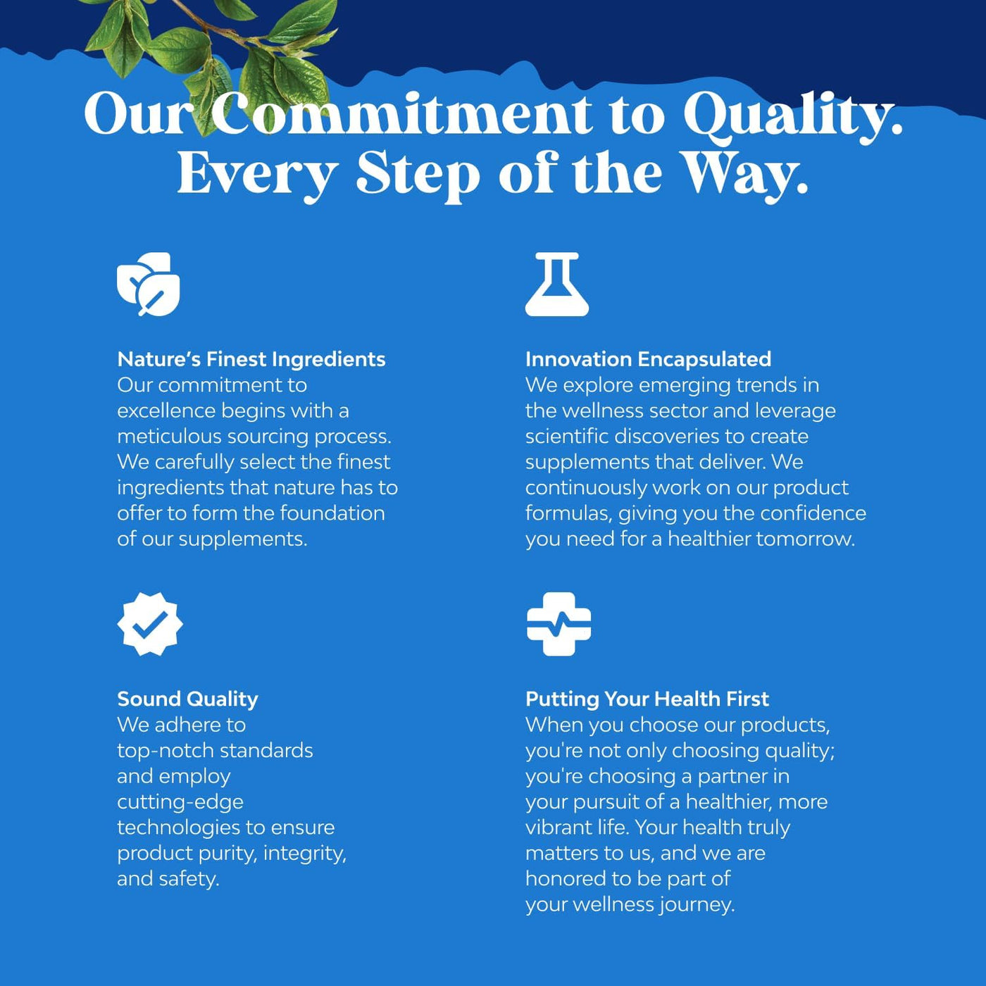 Herbal Prostate Supplement for Men | Pygeum & Saw Palmetto Extract for Urinary Health