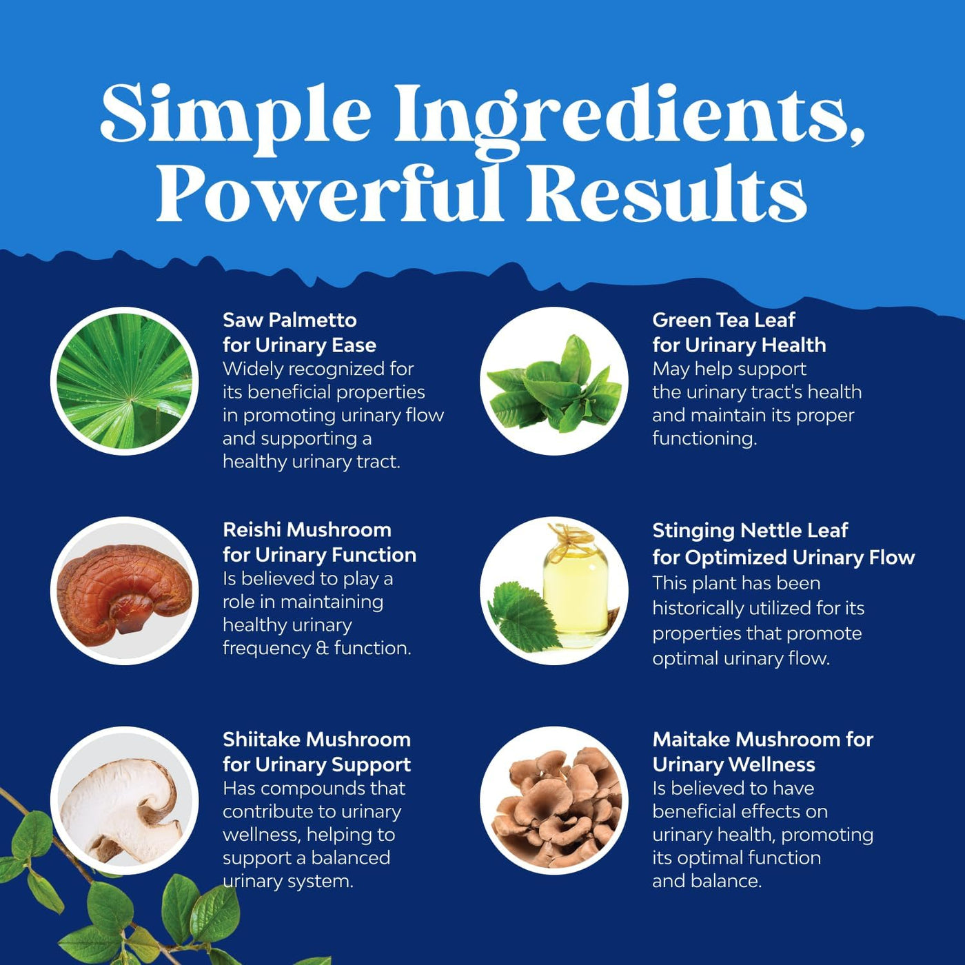 Herbal Prostate Supplement for Men | Pygeum & Saw Palmetto Extract for Urinary Health