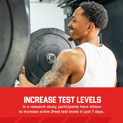 Six Star Testosterone Booster for Men with Rhodiola & Boron – Muscle Growth, Energy & Stamina Supplement, 60 Pills