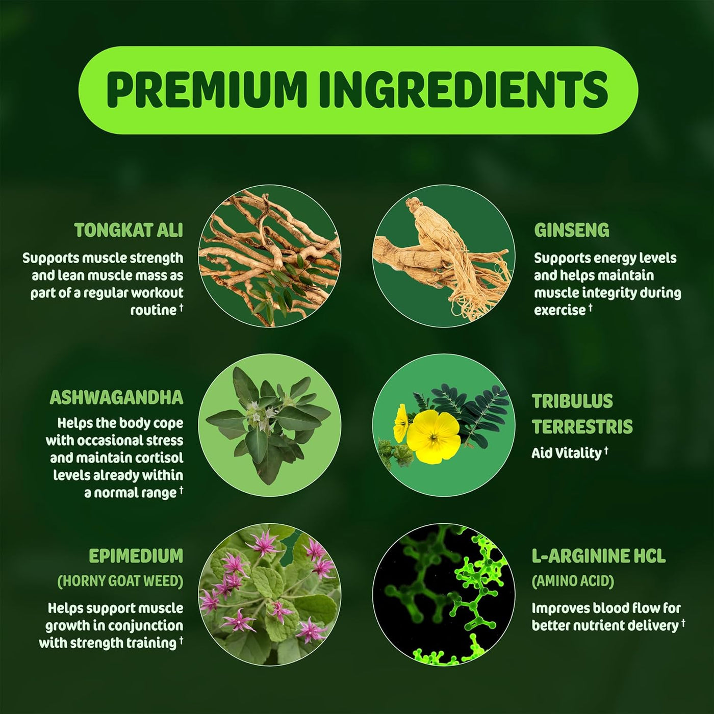 Testosterone Booster for Men – Ashwagandha, Tongkat Ali, L-Arginine & Tribulus for Muscle, Energy & Performance (2-Month Supply)