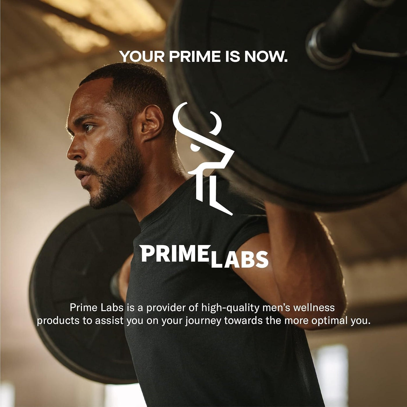 Prime Labs Testosterone Booster for Men – Natural Stamina, Endurance & Strength Supplement | Male Vitality & Performance Support – 60 Caplets